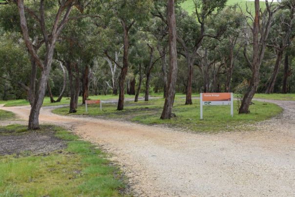 A picnic area surrounded by trees and green grass