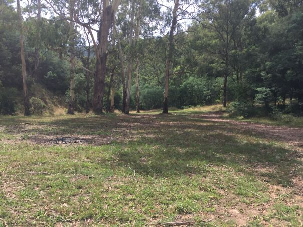 A large grassy campground surrounded by trees