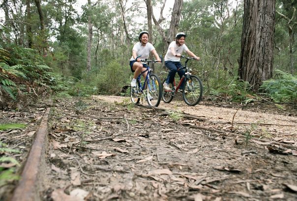Two women ride mountain bikes at speed through a forest