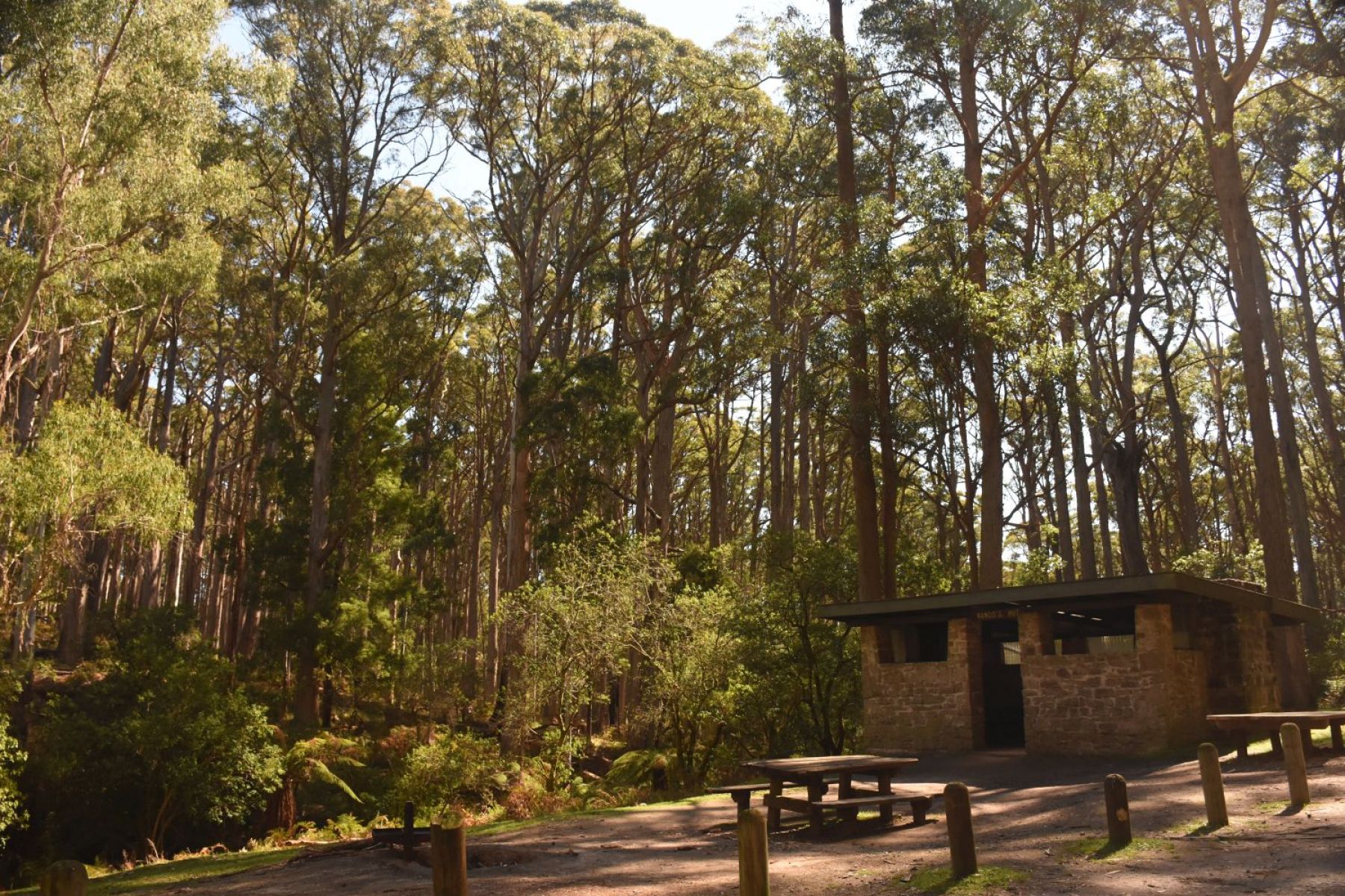 Victoria Mill Hut against backdrop of forest