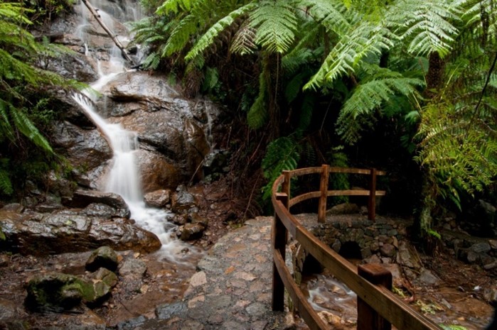 A waterfall surrounded by green vegetation and a wooden viewing platform  