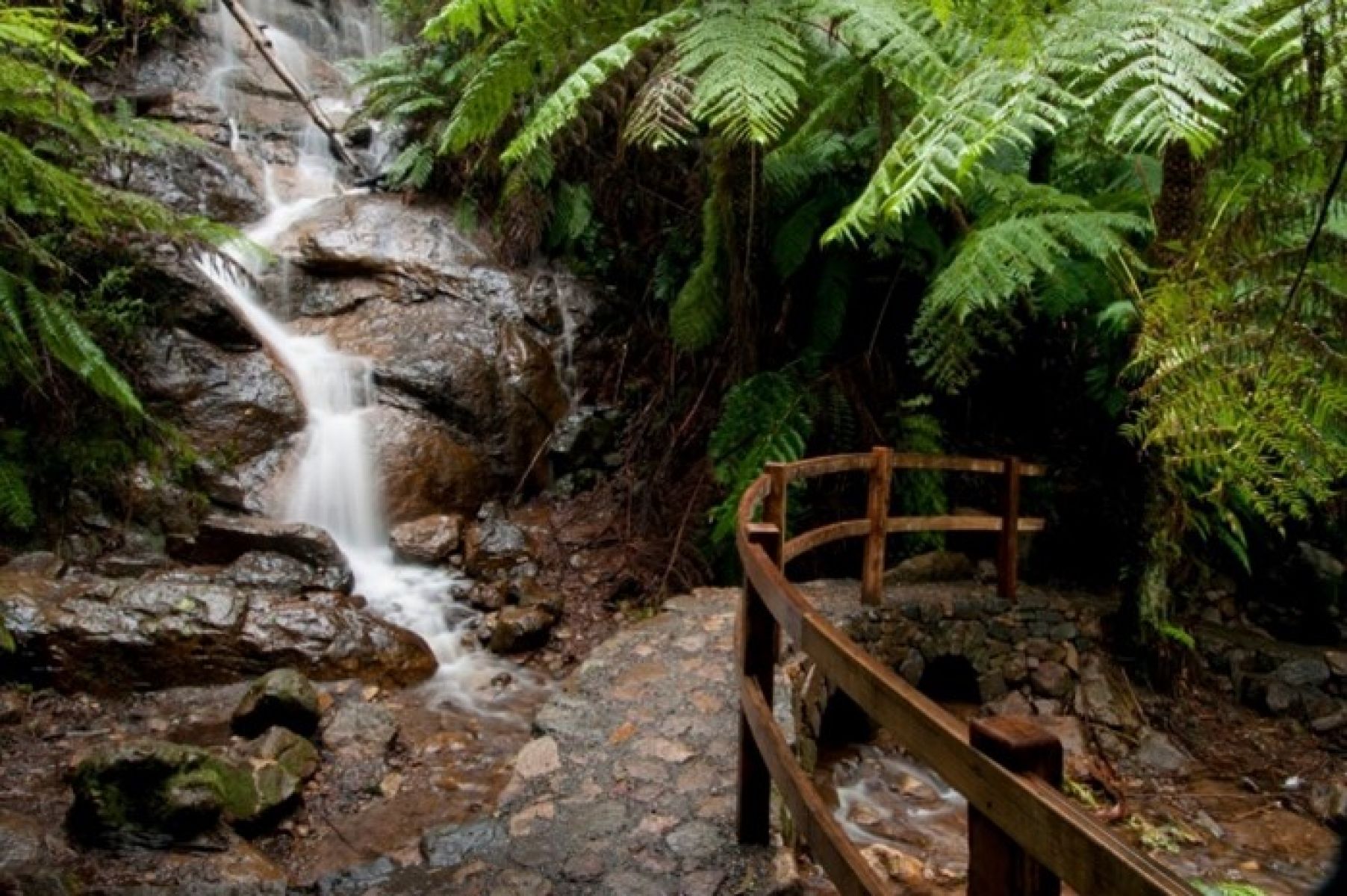 A waterfall surrounded by green vegetation and a wooden viewing platform