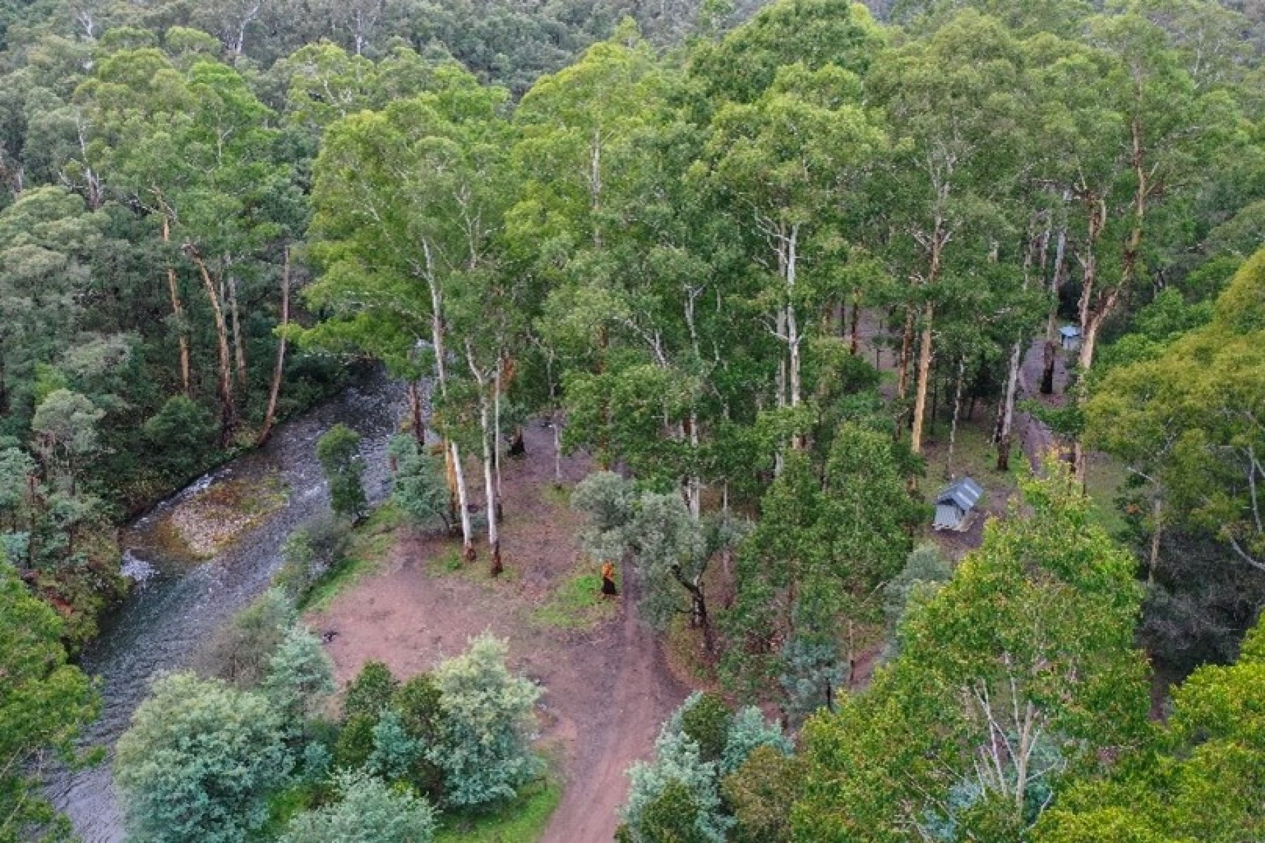 An aerial view of a river flowing through a campground with tall gum trees and a toilet block 