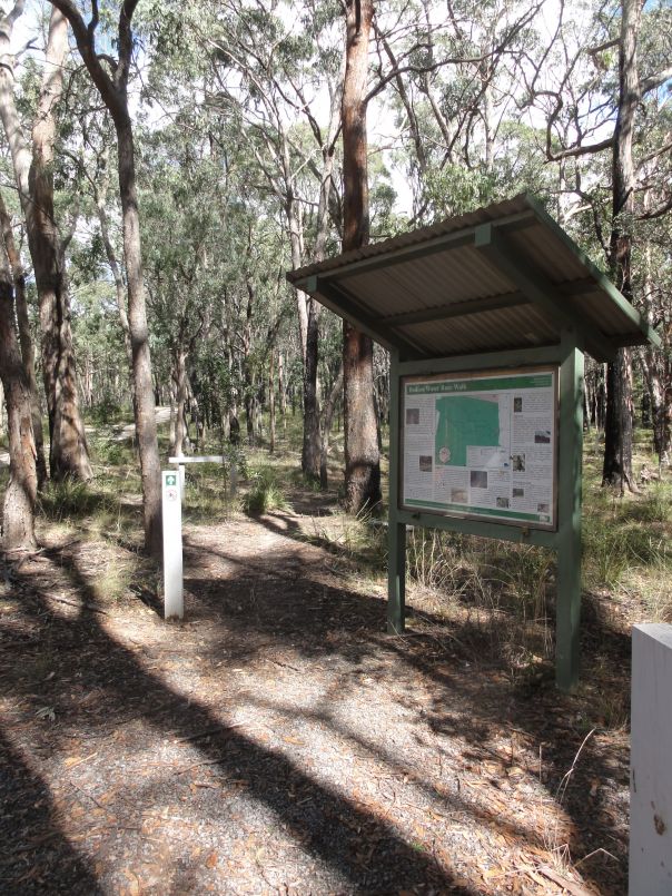 An information sign board among trees