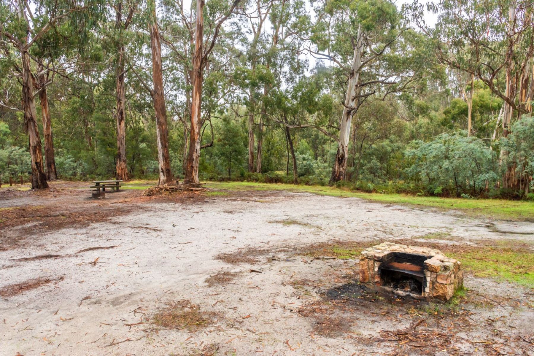 Very old stone BBQ in open clearing