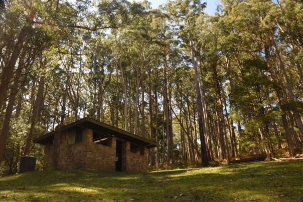 Picnic table and Victoria Mill Hut against backdrop of forest