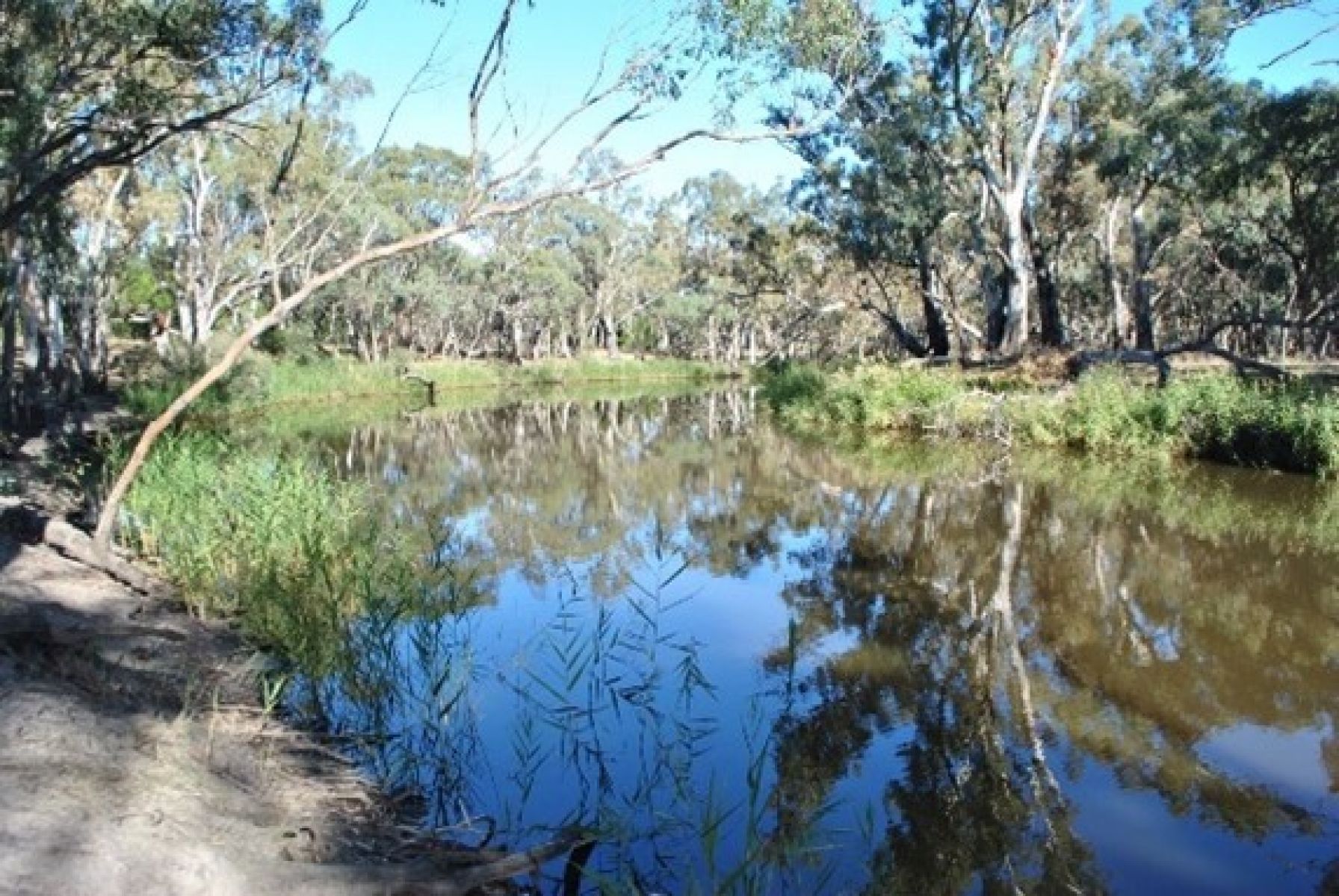 A wide river with forest either side 