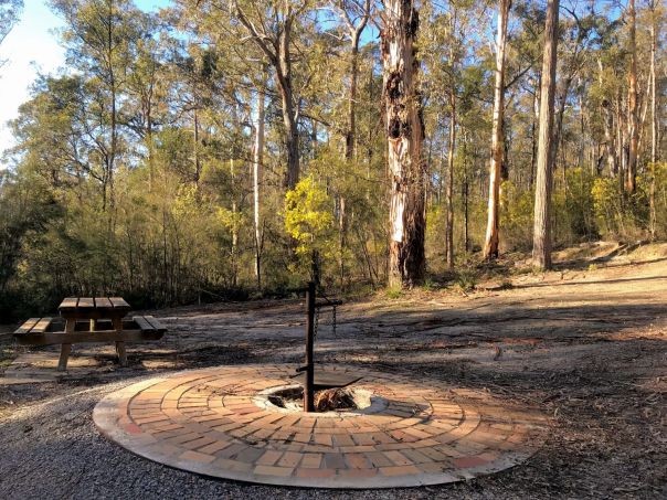 Photo of the picnic area at Cossticks Weir