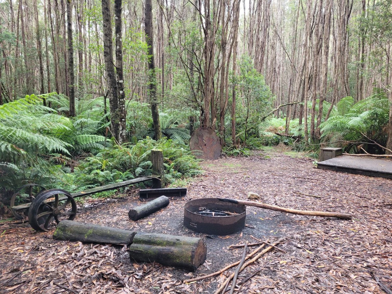 Fire pit and camping pad against backdrop of forest