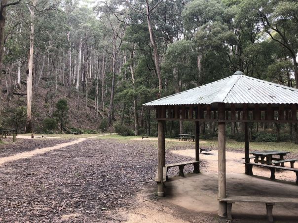 Picnic benches and undercover picnic area in the open space