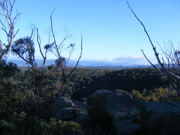 Views from a lookout over forested hills