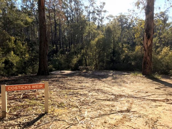 Another photo of Cossticks Weir picnic area