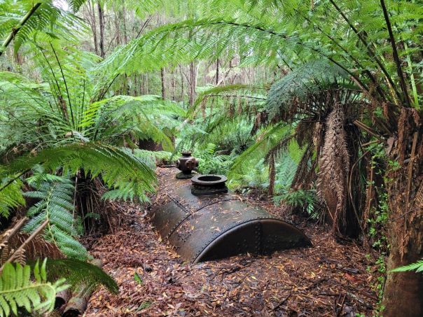 Old stream boiler from historic timber mill, buried in leaf litter