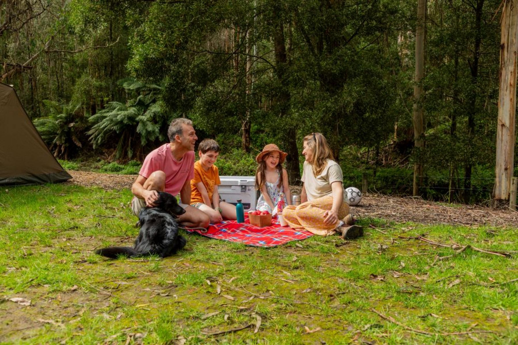 A family and their dog sit on a red picnic rug smiling in a sunny grassy area