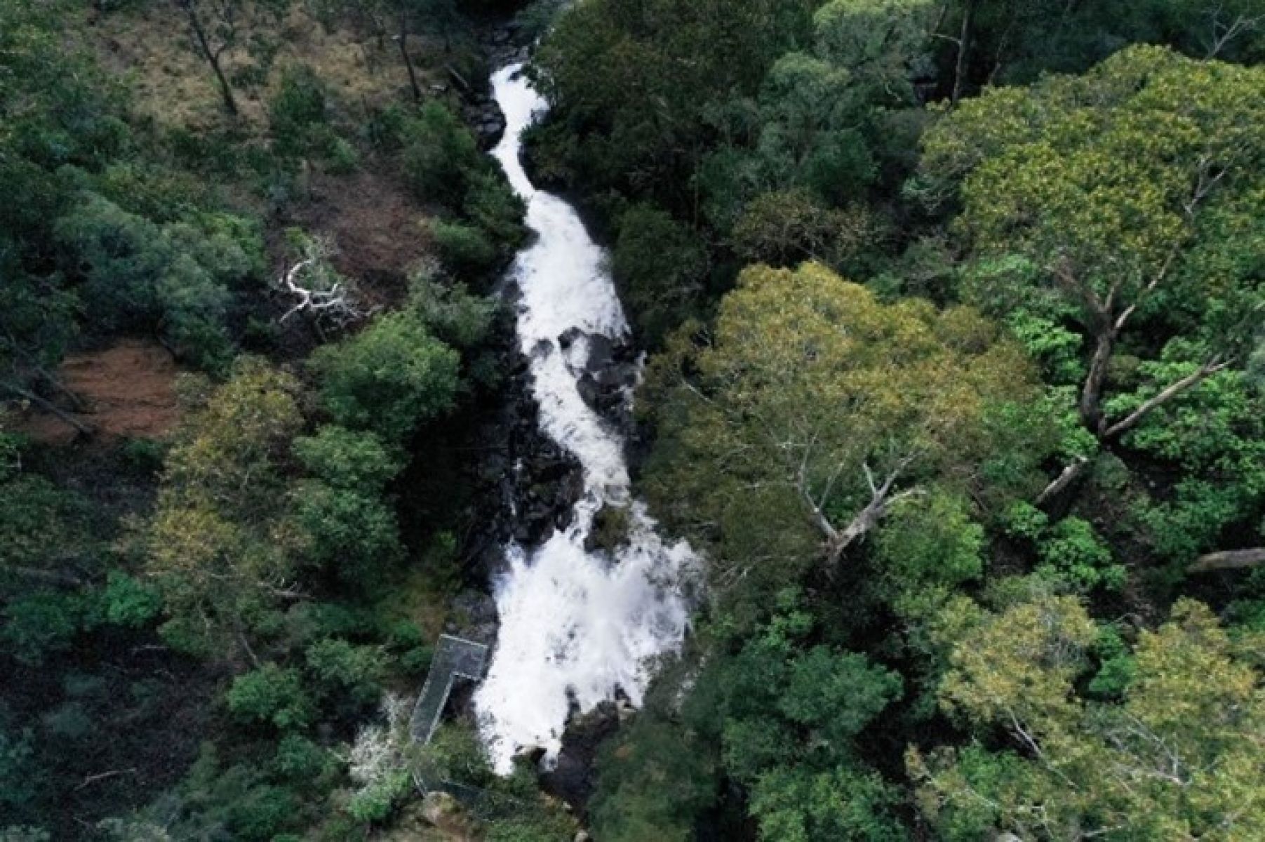 A lush green forest with a fast flowing waterfall and metal boardwalk 