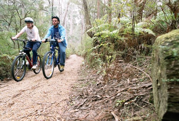 A woman and a man riding mountain bikes on a trail