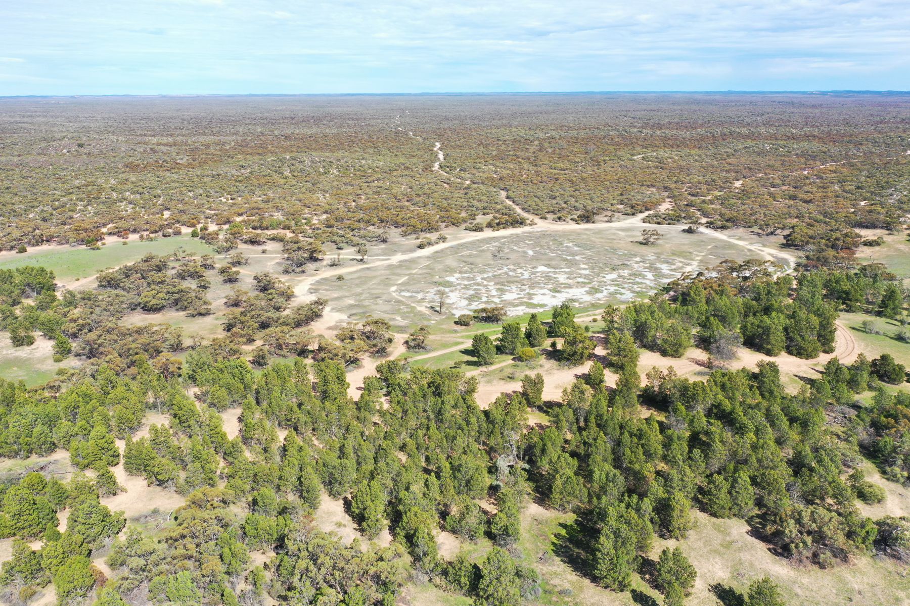 An aerial view of dirt tracks through the bush