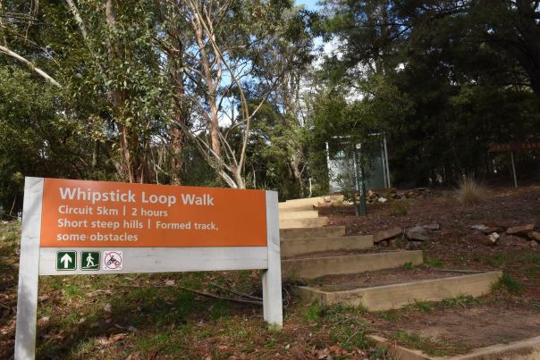 The sign for Whipstick Loop Walk and steps leading to the walk