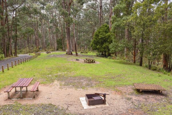 A view of the Glut picnic area and firepits. Two picnic tables, a fire pit and a wooden platform in a clearing. 