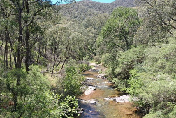 The Buckland River flowing through a steep gully