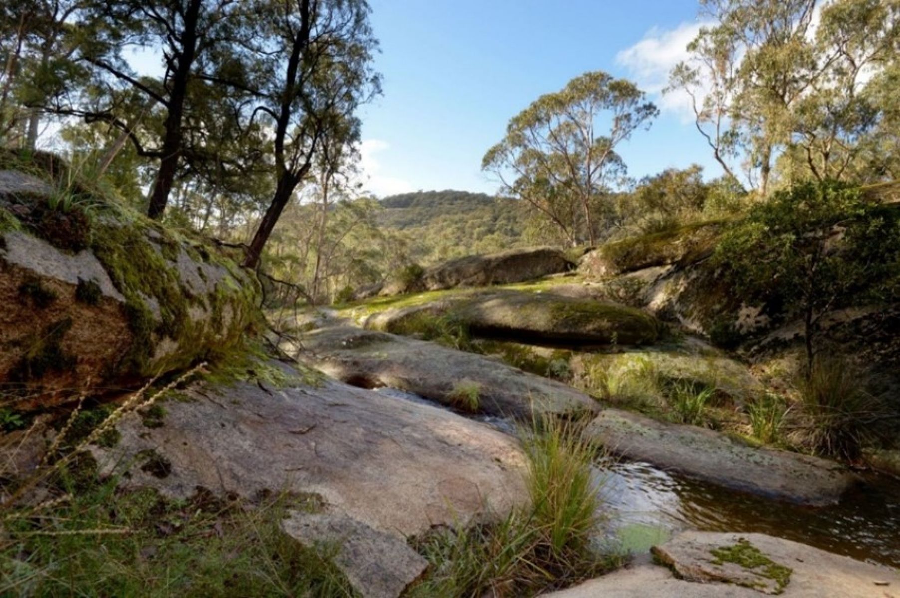 Large granite boulders, surrounded by green forest and water trickling down the boulders.  