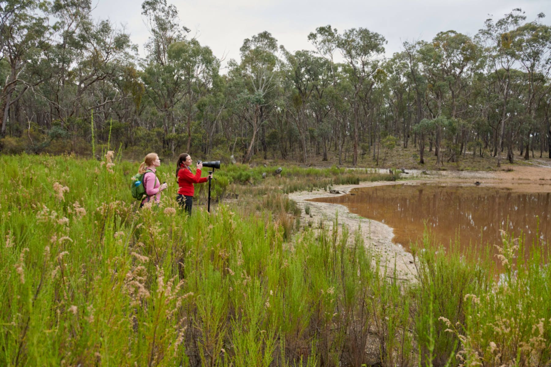 Two women look over a creek through a telescope.