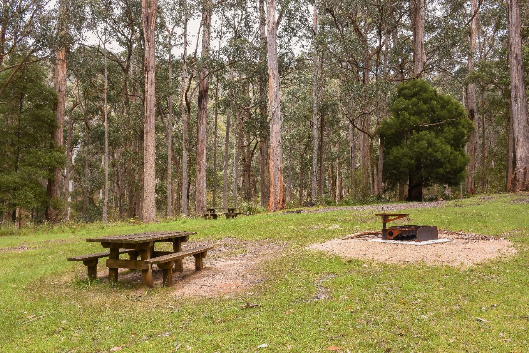 Another view of the Glut picnic area 