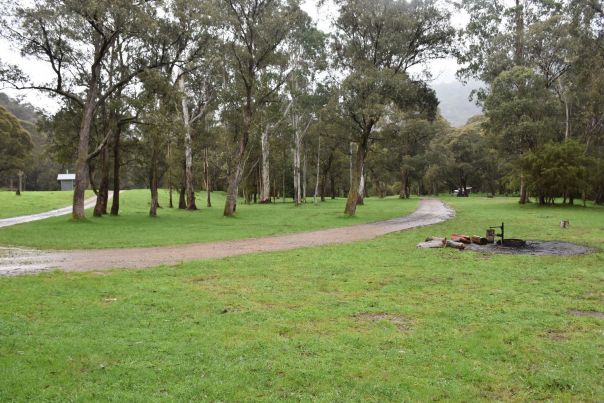 Large grassy site surrounded by Eucalypt trees. Large expanse of green grass with a firepit to the right. Mature trees in the background. 