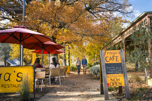 A couple sit at a cafe under autumn leaves on a sunny day