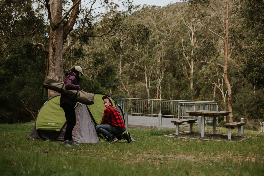 Two people set up a green tent under tall gum trees.