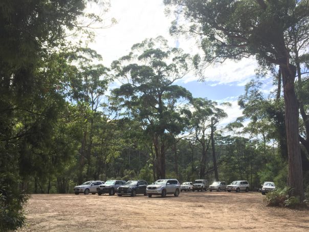 Cars parked in a dirt car park with tall trees surrounding