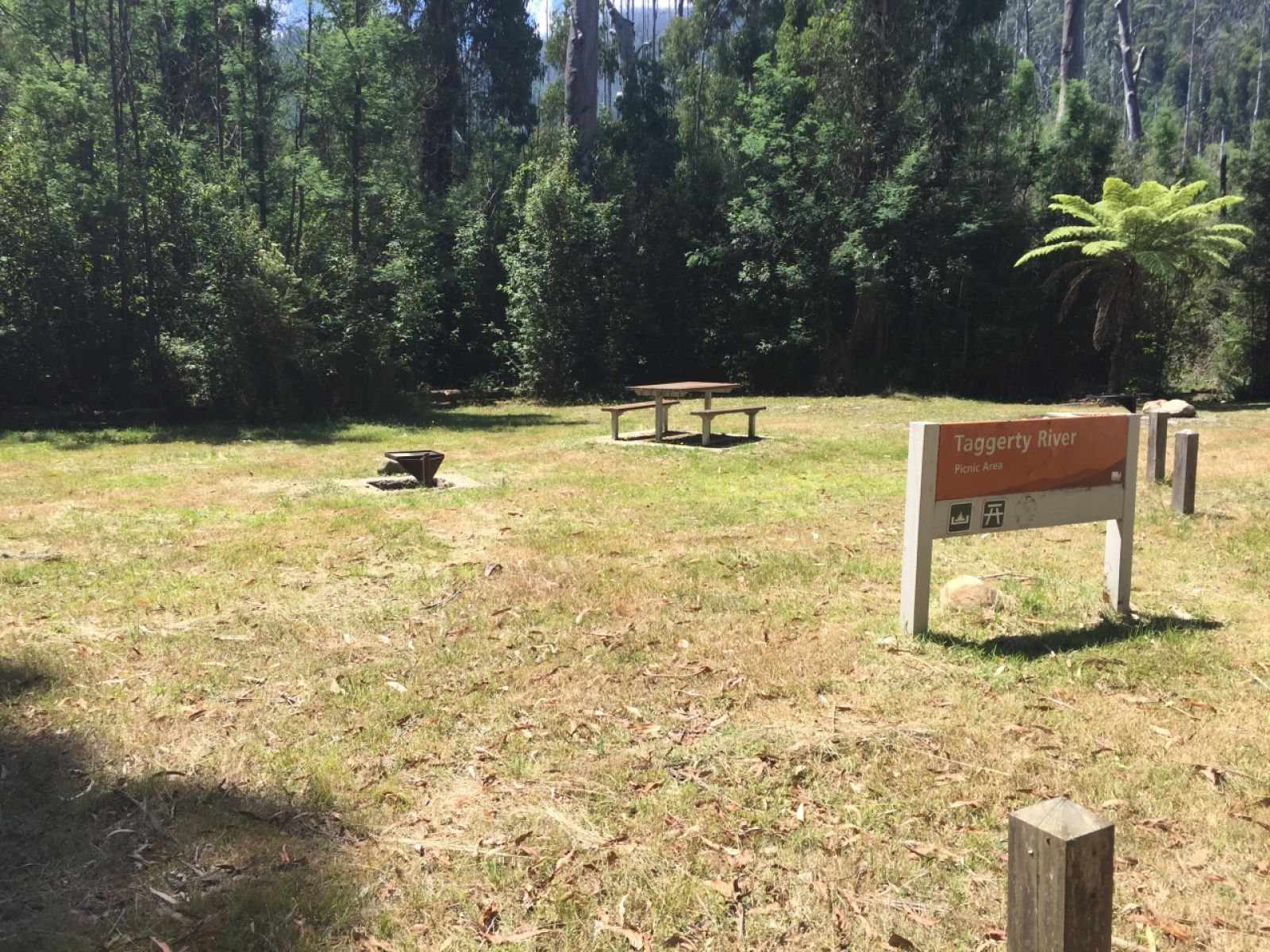 A sign for Taggerty River Picnic Area in a grassy clearing surrounded by tall trees