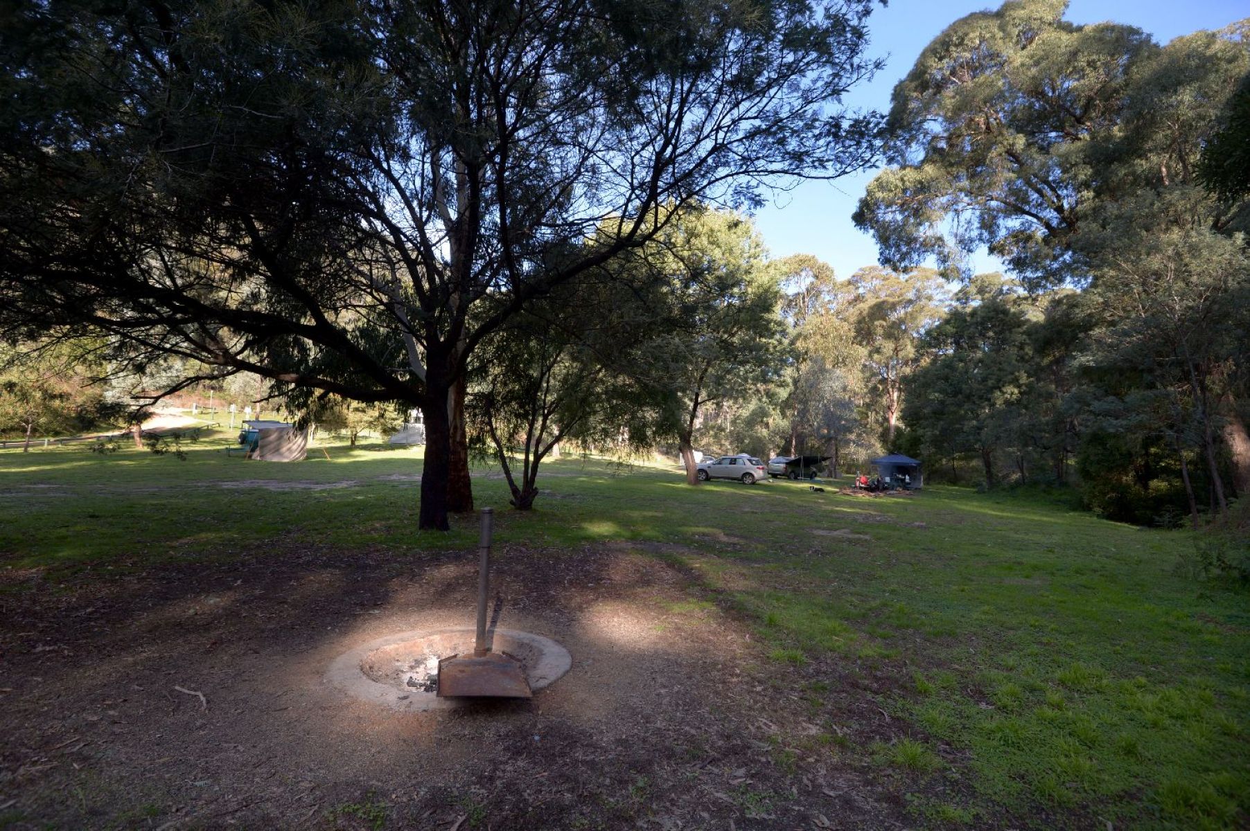 A view under a shady tree next to a campsite with a firepit