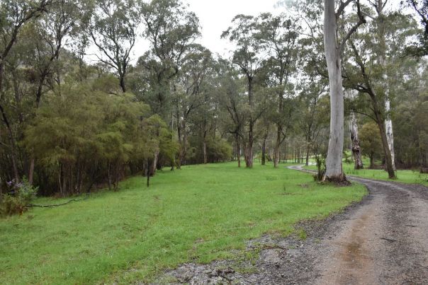 Large gravel road leading to the grassy campsite. The track winds around grass. Mature trees in the background. 