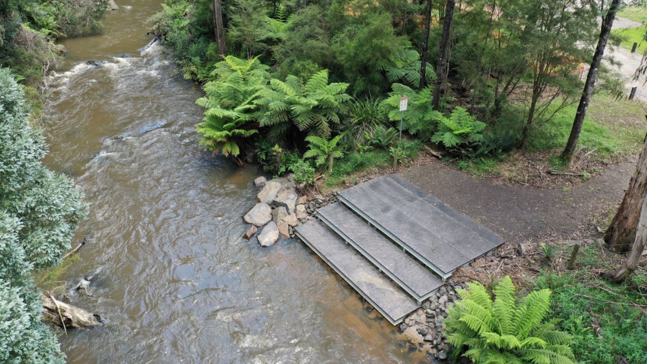 A wide platform steps down into a peaceful river surrounded by green ferns