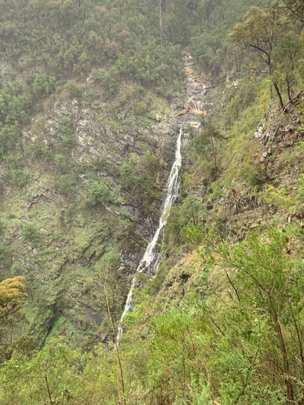 Forest with a waterfall in the distance 