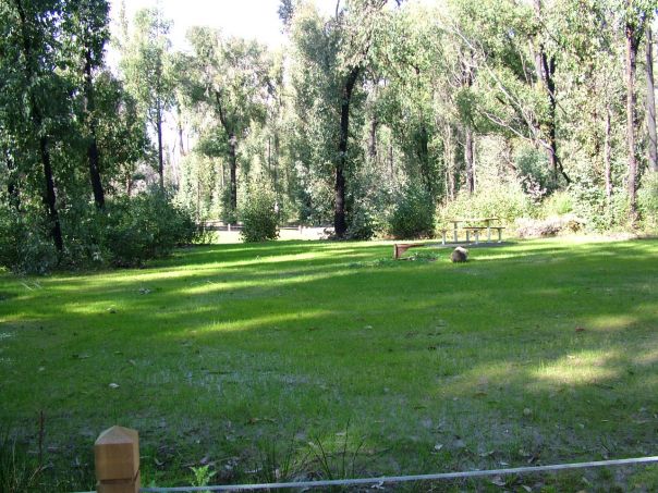 A grassy area with picnic table and fire pit