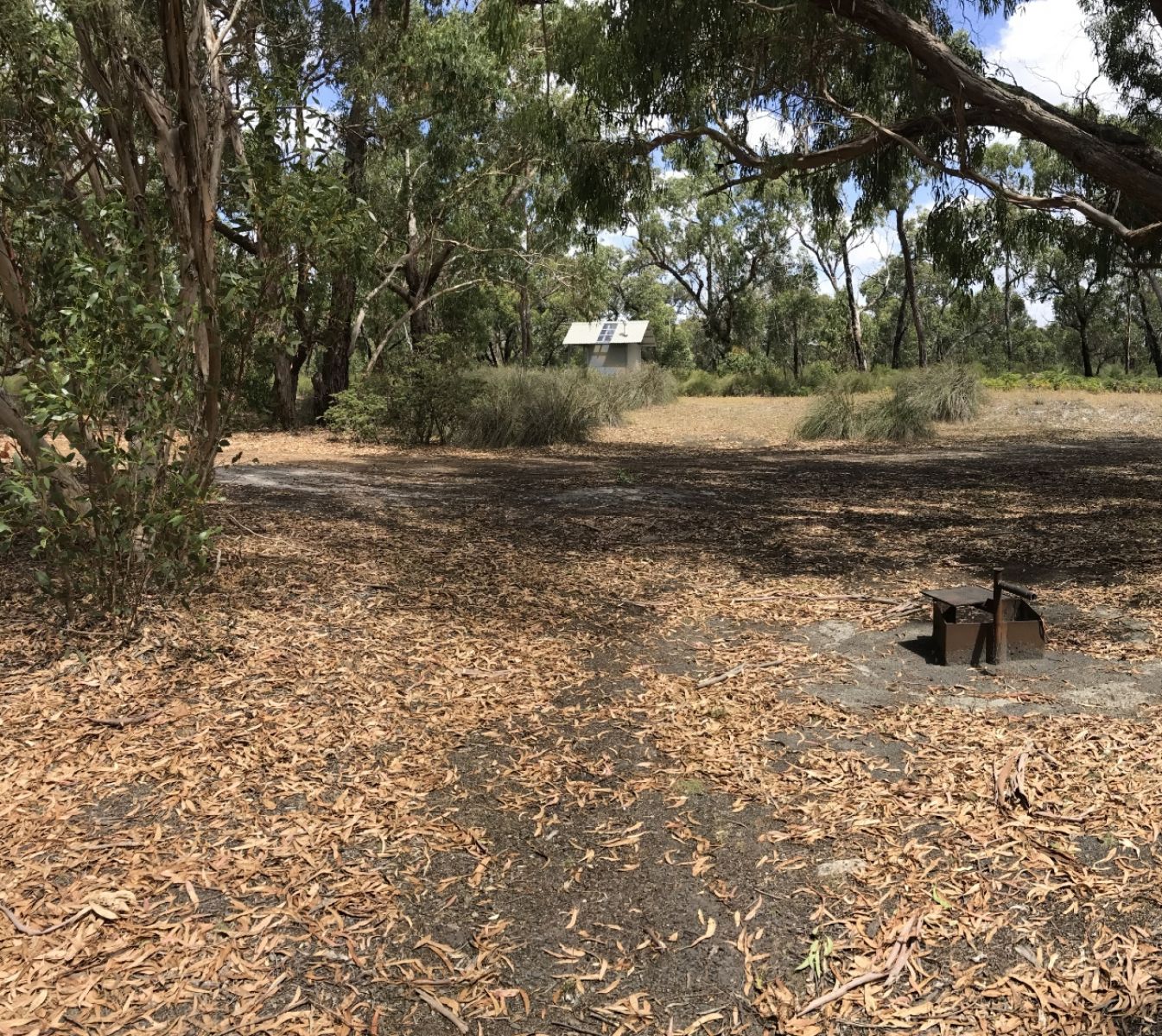 A fire pit or BBQ at a picnic area