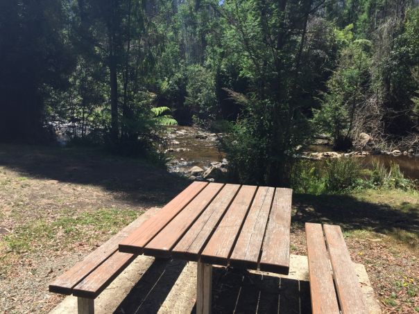 A picnic table sits near the edge of a river