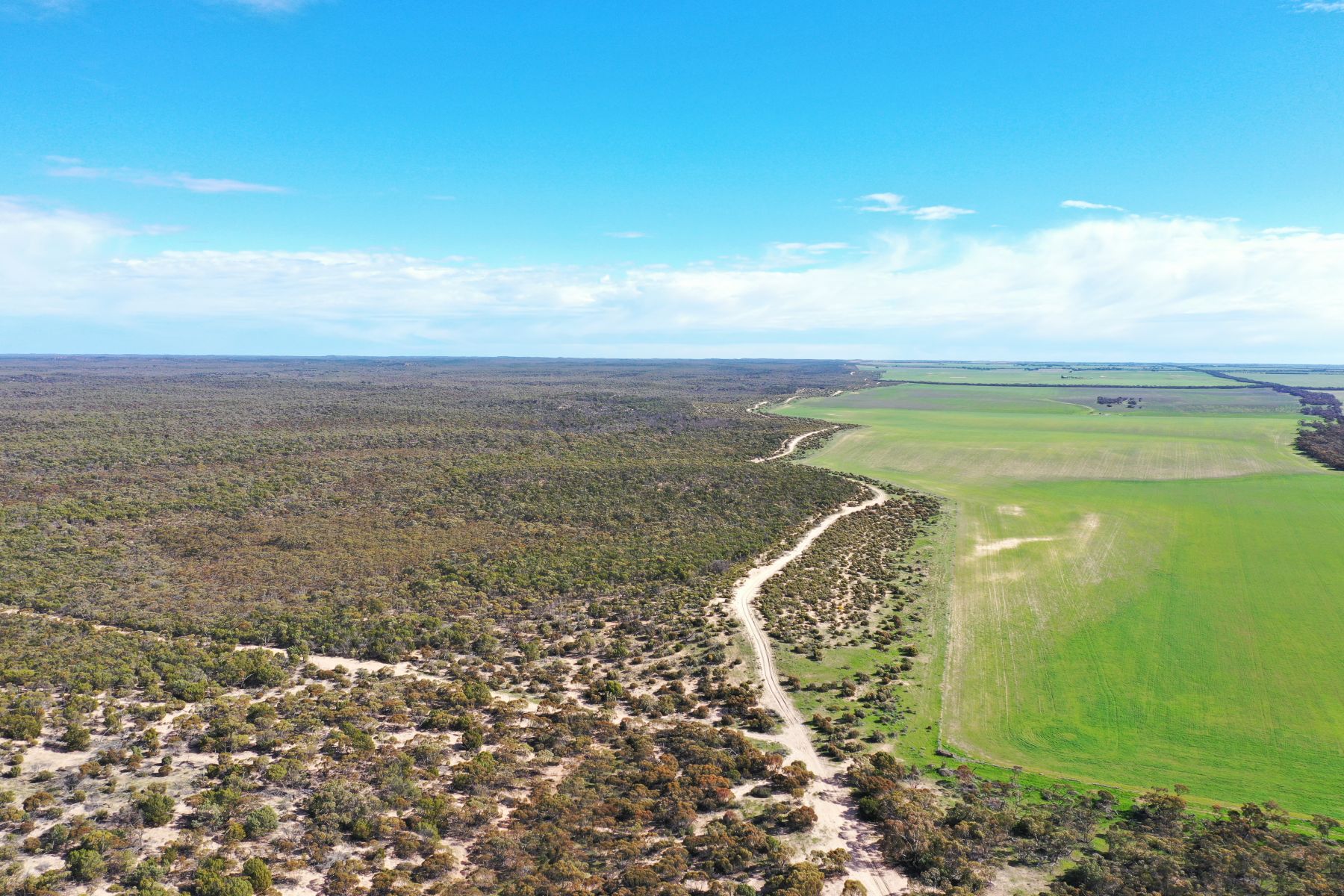 An aerial view of dirt tracks through the bush