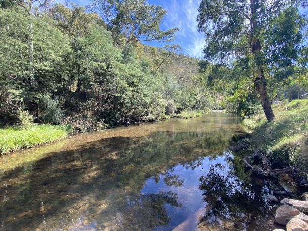 Jamieson River next to the campground winding between tall trees