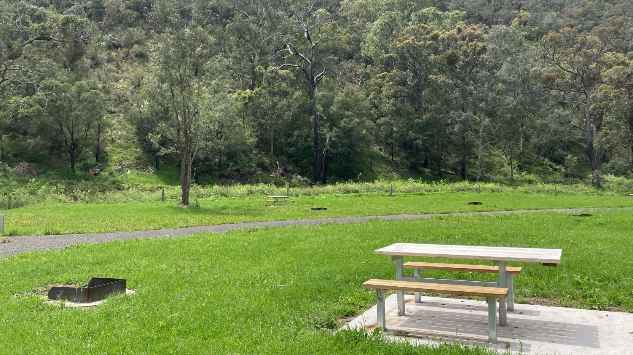 A wooden picnic table and BBQ in a grassy area with thick trees in the background.