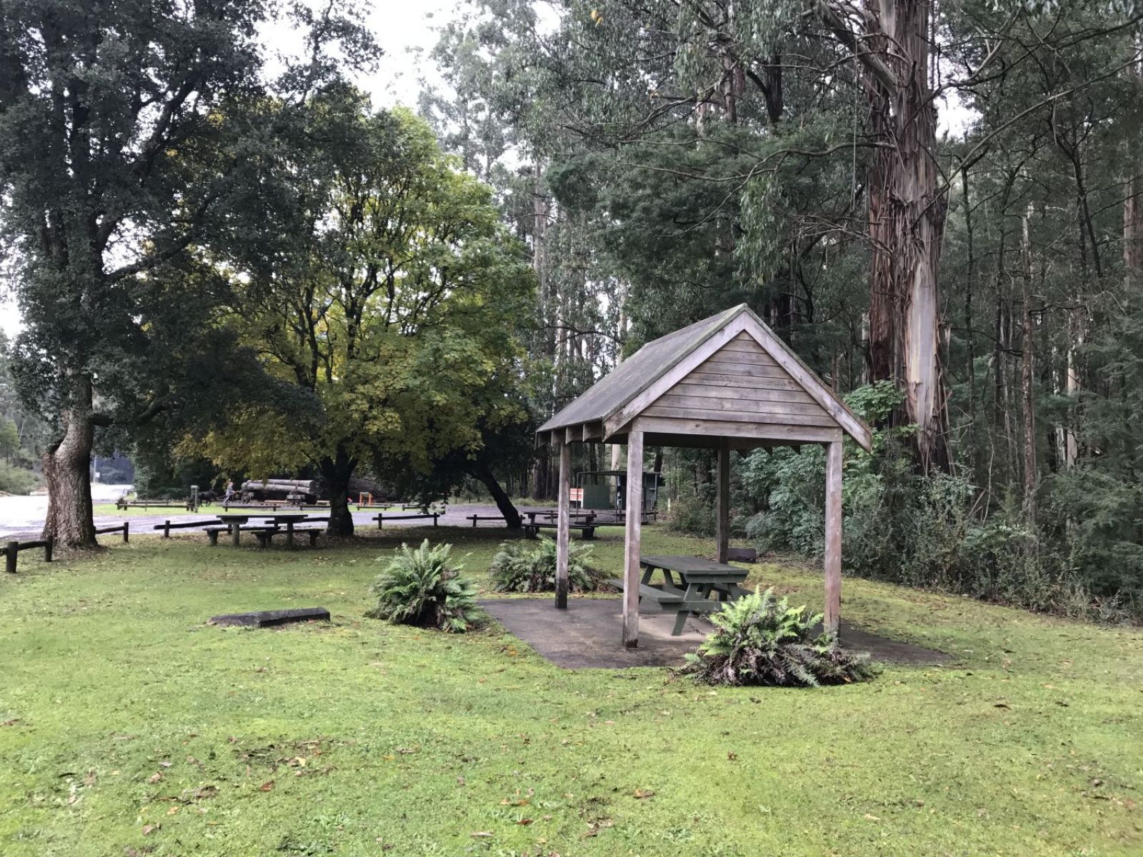 A small picnic shelter in a grassy area by a road.