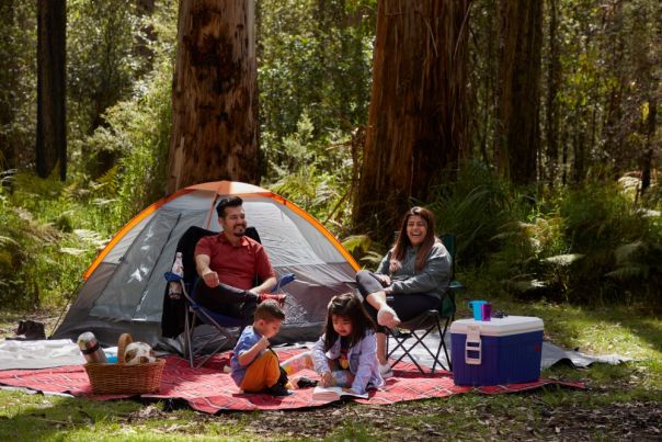 A family sit smiling beside a green tent in the forest with the sun shining. 