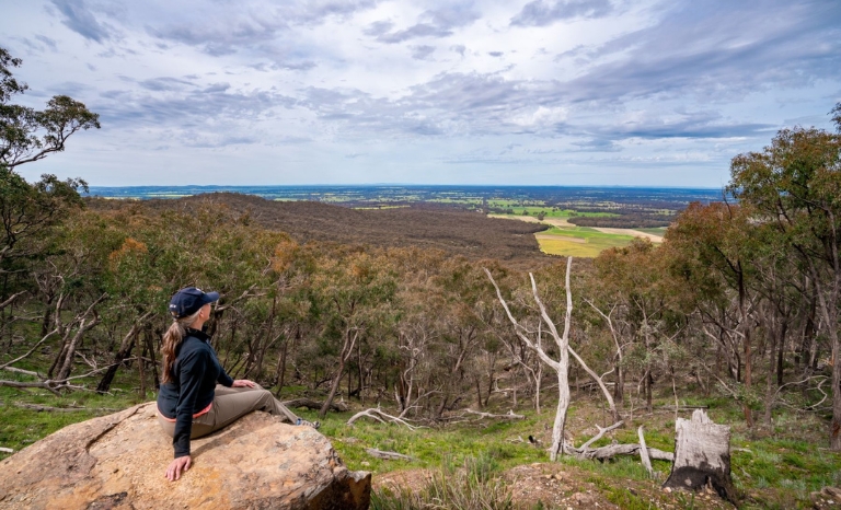 Person sitting on a rock overlooking a forested area   