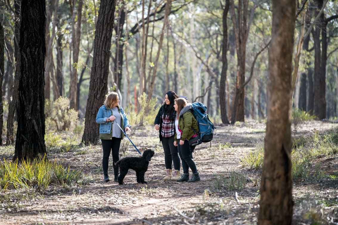 Three women and their dog walking in the bush