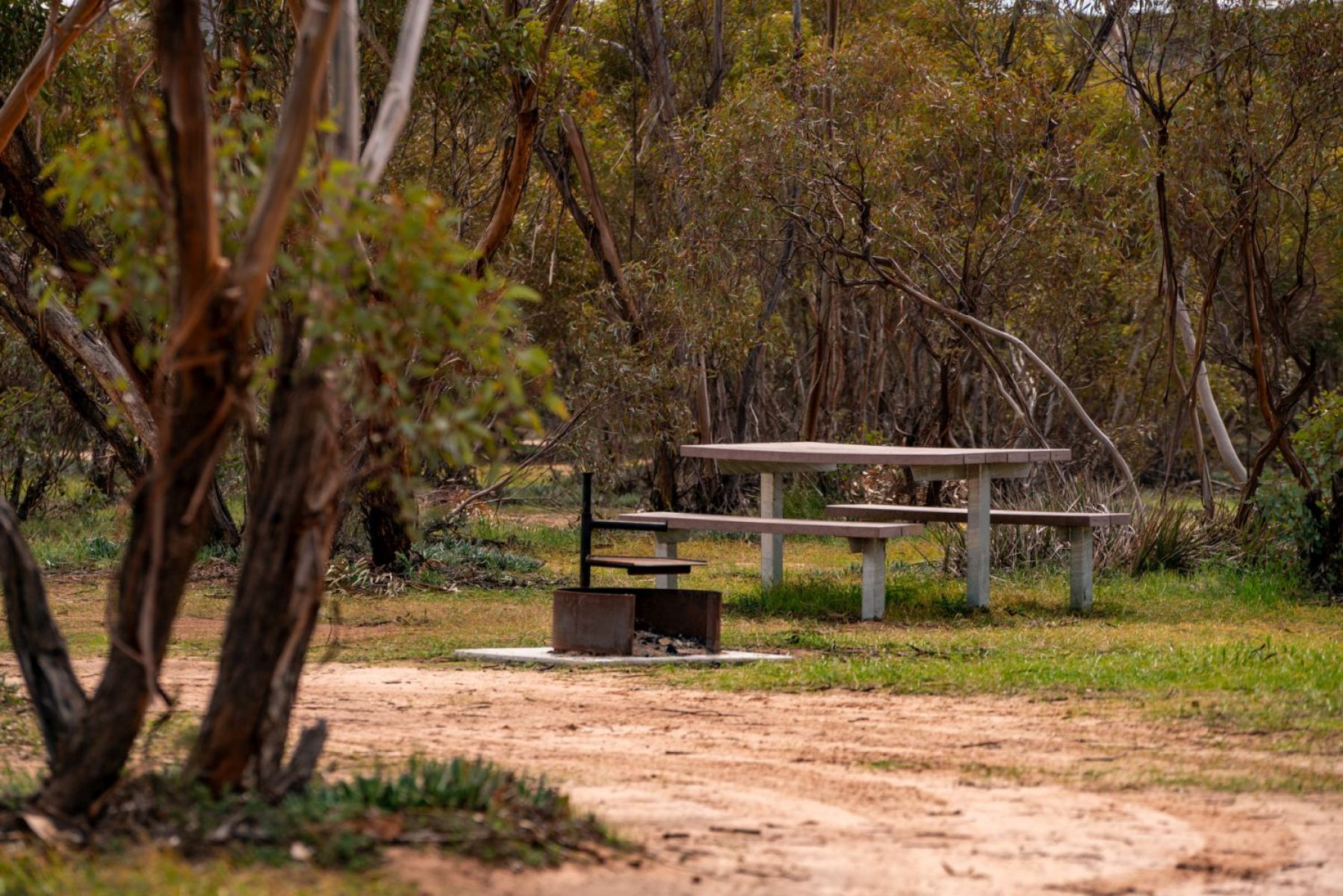 Picnic table and BBQ in a mallee setting