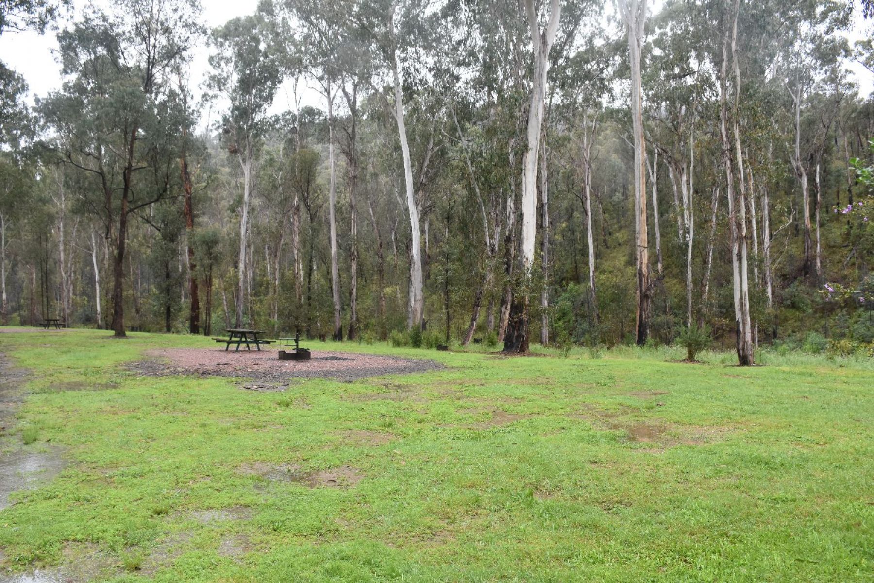 Picnic bench and wood-fried BBQ on the grassy open campground