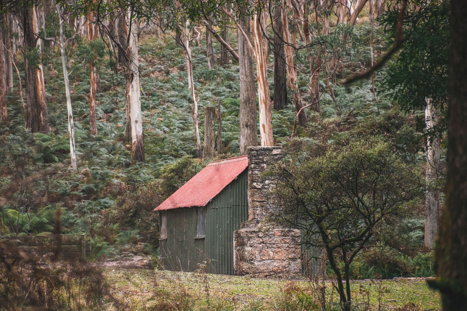 A side on image of the hut at the bottom of the valley, nestled in a clearing in the forest