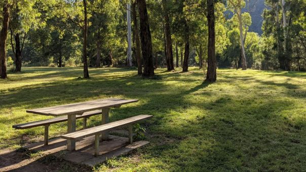 A wooden picnic table with trees surrounding it in a grassy area.